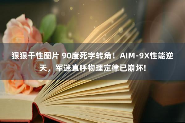 狠狠干性图片 90度死字转角！AIM-9X性能逆天，军迷直呼物理定律已崩坏!