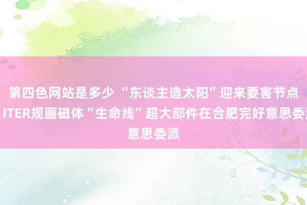 第四色网站是多少 “东谈主造太阳”迎来要害节点，ITER规画磁体“生命线”超大部件在合肥完好意思委派