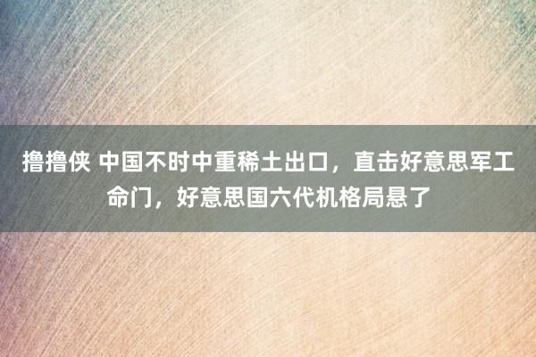 撸撸侠 中国不时中重稀土出口，直击好意思军工命门，好意思国六代机格局悬了