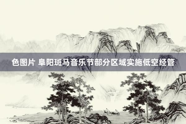 色图片 阜阳斑马音乐节部分区域实施低空经管