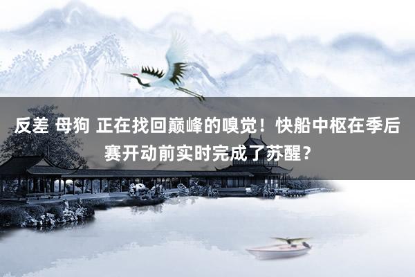 反差 母狗 正在找回巅峰的嗅觉！快船中枢在季后赛开动前实时完成了苏醒？
