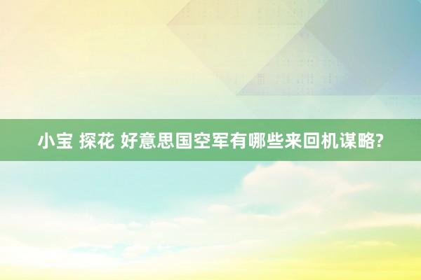 小宝 探花 好意思国空军有哪些来回机谋略?