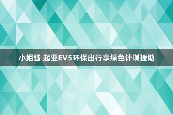 小姐骚 起亚EV5环保出行享绿色计谋援助