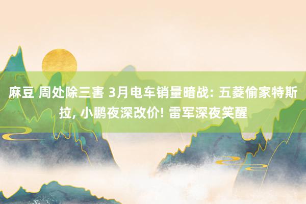 麻豆 周处除三害 3月电车销量暗战: 五菱偷家特斯拉, 小鹏夜深改价! 雷军深夜笑醒