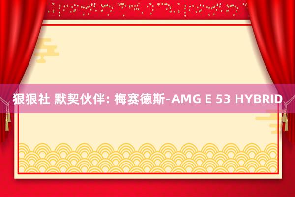 狠狠社 默契伙伴: 梅赛德斯-AMG E 53 HYBRID