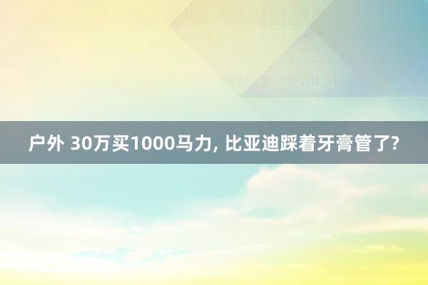 户外 30万买1000马力, 比亚迪踩着牙膏管了?
