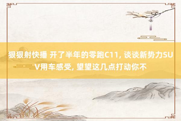 狠狠射快播 开了半年的零跑C11, 谈谈新势力SUV用车感受, 望望这几点打动你不