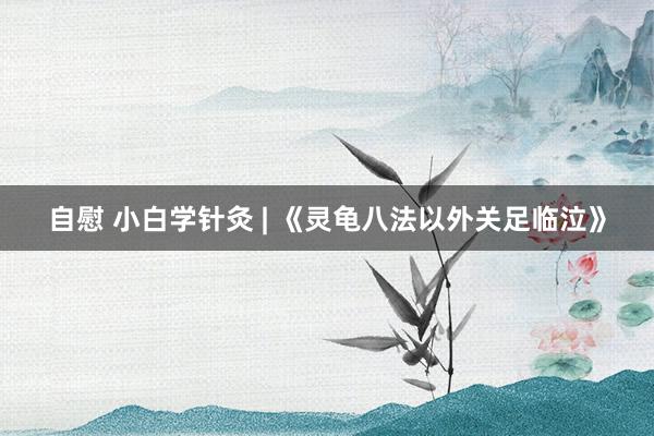 自慰 小白学针灸 | 《灵龟八法以外关足临泣》
