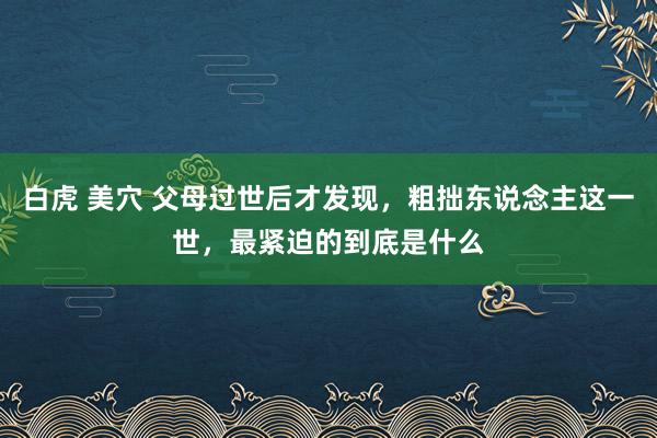 白虎 美穴 父母过世后才发现，粗拙东说念主这一世，最紧迫的到底是什么