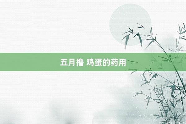 五月撸 鸡蛋的药用