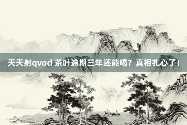 天天射qvod 茶叶逾期三年还能喝？真相扎心了！
