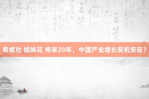 希威社 姐妹花 将来20年，中国产业增长契机安在？